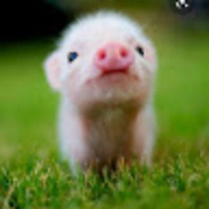 Meet your Posher, Margarita